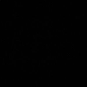 Meet your Posher, Jorge